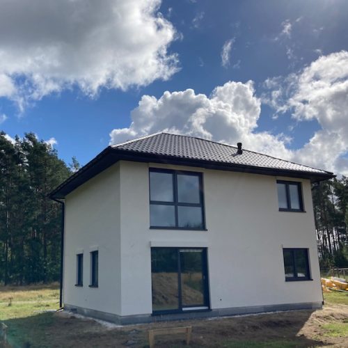 Dom szkieletowy – wady i zalety